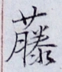 “藤”字