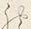 字さ