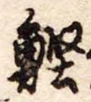位置 確認된 鰹