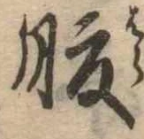 腹，已得其位