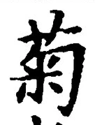 글자 菊