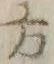 字方