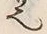 “也”字
