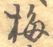 已定位梅