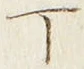 文字丁