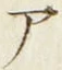 文字 ア
