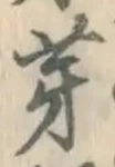 文字 芽