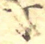 Đã định vị 丁