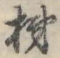 位置定マレル柿