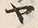 「ヤ」字
