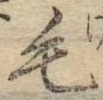 位置定マレル毛