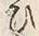 “ひ”字