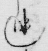 文字 迚