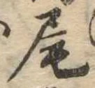 Located 尾