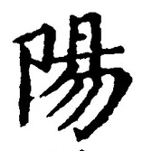 Character 陽