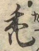 禿 위치 확인됨