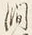 文字温