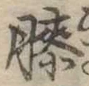 已定位膝