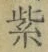 文字紫