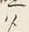 “将”字