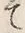“ほ”字