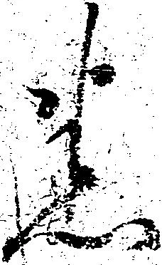 Đã định vị 悉