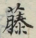 글자 藤