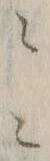 “々”字