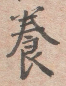 「養」字