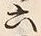 文字六