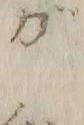 Chữ 蝕
