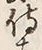 Chữ 侍