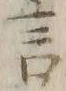 「ヤ」字