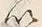 “以”字