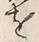 字理