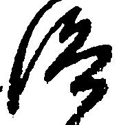 Đã định vị 洛