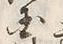 Character 国