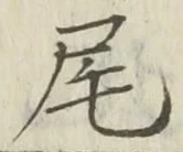 Character 尾