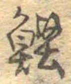 位置 確認된 鰹