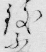 文字 致