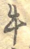 位置定マレル牛