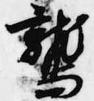 位置 確認된 鷲