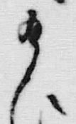 「給」字