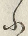 𡨸考