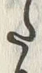 “わ”字