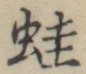 位置 確認된 蛙