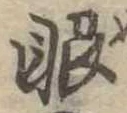 已定位眼