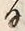 𡨸礼