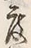文字 度