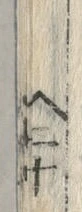 𡨸草